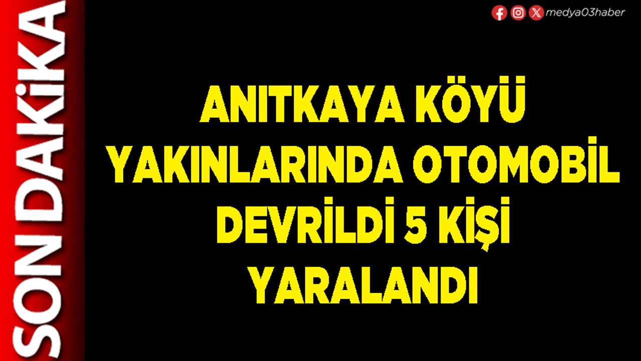 Anıtkaya Köyü yakınlarında otomobil devrildi 5 kişi yaralandı