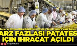 Arz fazlası patates için ihracat açıldı