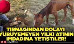 Tırnağından dolayı  yürüyemeyen yılkı atının imdadına yetiştiler!