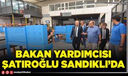 Bakan Yardımcısı Şatıroğlu Sandıklı’da