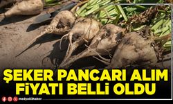 Şeker pancarı alım fiyatı belli oldu