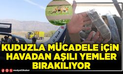 Kuduzla mücadele için havadan aşılı yemler bırakılıyor