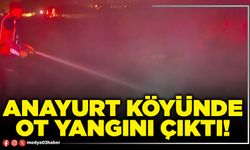 Anayurt köyünde ot yangını çıktı!