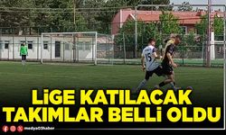 Lige katılacak takımlar belli oldu