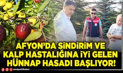 Afyon’da sindirim ve kalp hastalığına iyi gelen hünnap hasadı başlıyor!