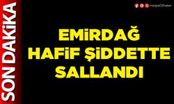 Emirdağ hafif şiddette sallandı