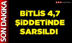 Bitlis 4,7 şiddetinde sarsıldı