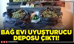 Bağ evi uyuşturucu deposu çıktı!