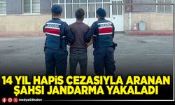 14 yıl hapis cezasıyla aranan şahsı jandarma yakaladı