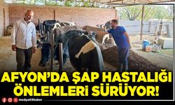 Afyon’da şap hastalığı önlemleri sürüyor!