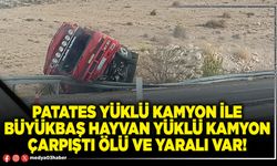 Patates yüklü kamyon ile büyükbaş hayvan yüklü kamyon çarpıştı ölü ve yaralı var!