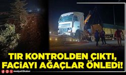 Tır kontrolden çıktı, faciayı ağaçlar önledi!