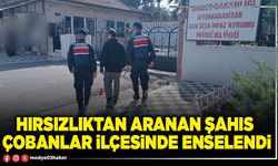 Hırsızlıktan aranan şahıs çobanlar ilçesinde enselendi