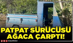 Patpat sürücüsü ağaca çarptı!