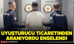 Uyuşturucu ticaretinden aranıyordu enselendi!