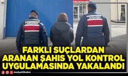 Farklı suçlardan aranan şahıs yol kontrol uygulamasında yakalandı