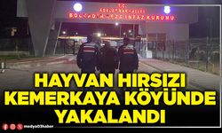 Hayvan hırsızı Kemerkaya köyünde yakalandı