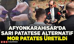 Afyonkarahisar’da sarı patatese alternatif mor patates üretildi