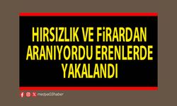 Hırsızlık ve firardan aranıyordu Erenlerde yakalandı