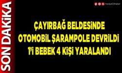 Çayırbağ beldesinde otomobil şarampole devrildi 1’i bebek 4 kişi yaralandı