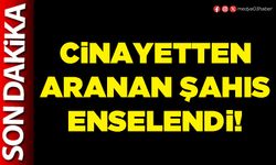 Cinayetten aranan şahıs enselendi!