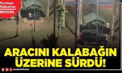 Aracını kalabağın üzerine sürdü!