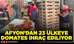 Afyon’dan 23 Ülkeye domates ihraç ediliyor