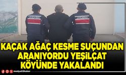 Kaçak ağaç kesme suçundan aranıyordu Yeşilçat köyünde yakalandı