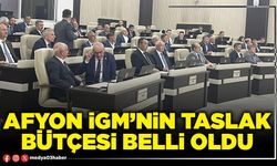 Afyon İGM’nin taslak bütçesi belli oldu