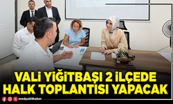 Vali Yiğitbaşı 2 ilçede halk toplantısı yapacak