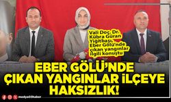 Eber Gölü’nde çıkan yangınlar ilçeye haksızlık!