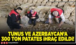 Tunus ve Azerbaycan’a 300 ton patates ihraç edildi!