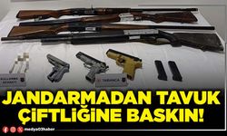 Jandarmadan tavuk çiftliğine baskın!