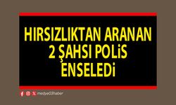 Hırsızlıktan aranan 2 şahsı polis enseledi