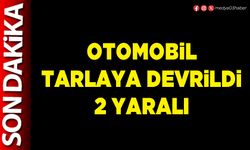 Otomobil tarlaya devrildi 2 yaralı