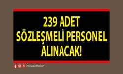 239 adet sözleşmeli personel alınacak!