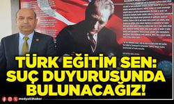 Türk Eğitim Sen: Suç duyurusunda bulunacağız!