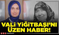 Vali Yiğitbaşı’nı üzen haber!