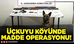 Üçkuyu köyünde madde operasyonu!