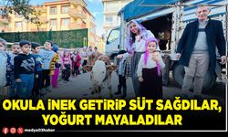 Okula inek getirip süt sağdılar, yoğurt mayaladılar