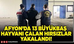 Afyon’da 13 büyükbaş  hayvanı çalan hırsızlar yakalandı!