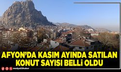 Afyon’da Kasım ayında satılan konut sayısı belli oldu