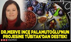 Dr.Merve İnce Palamutoğlu’nun projesine TÜBİTAK’dan destek!