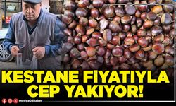 Kestane fiyatıyla cep yakıyor!