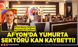 Afyon’da yumurta sektörü kan kaybetti!