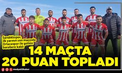 14 maçta 20 puan topladı