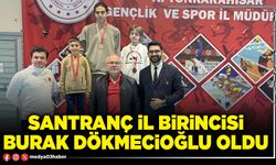 Santranç İl Birincisi Burak Dökmecioğlu oldu