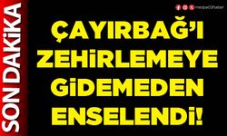 Çayırbağ’ı zehirlemeye gidemeden enselendi!