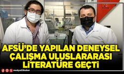 AFSÜ’de yapılan deneysel çalışma uluslararası literatüre geçti