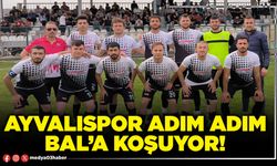 Ayvalıspor adım adım BAL’a koşuyor!